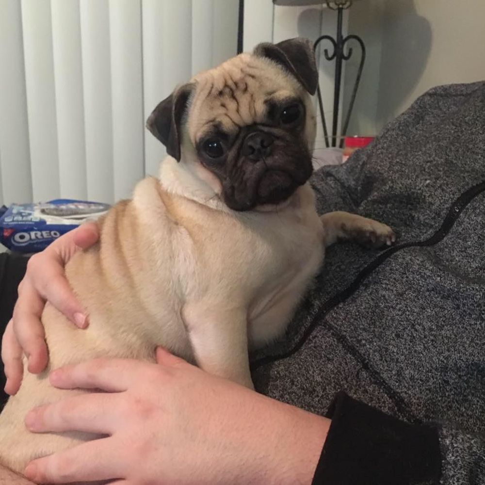 Meet your Posher, Kassidy